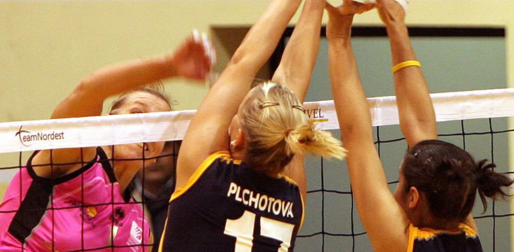 远程培训系统的网站防ddos攻击